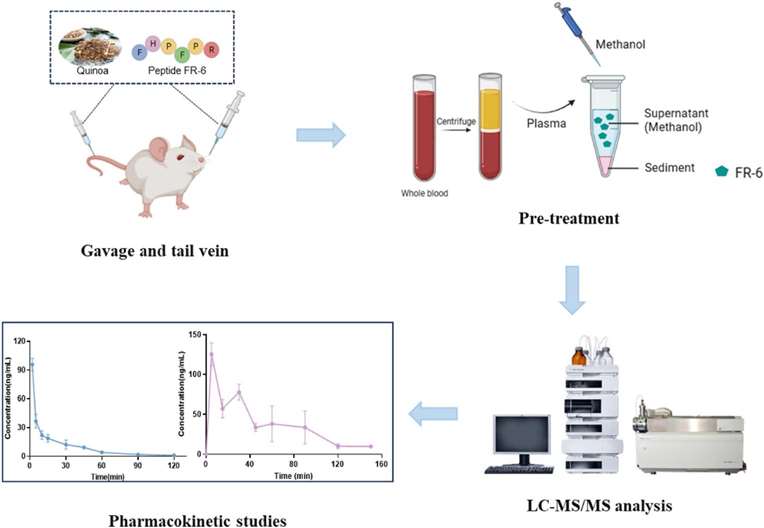 Fig. 2 LC–MS/MS for pharmacokinetic study OF FR-6.